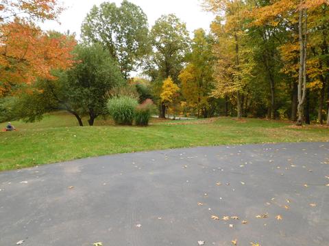 7631 Day Rd, Bellevue, MI 49021 photo 3