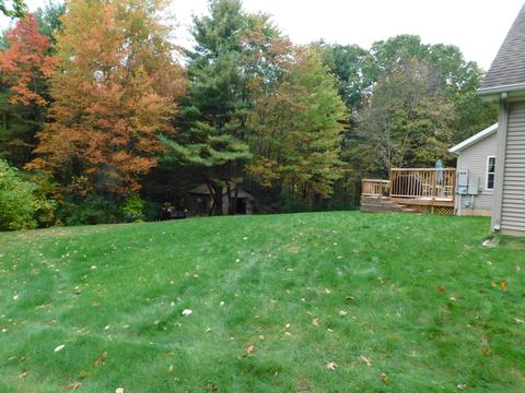 7631 Day Rd, Bellevue, MI 49021 photo 5