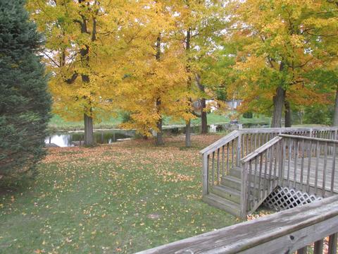 4179 E Shore Dr, Stanton, MI 48888 photo 4