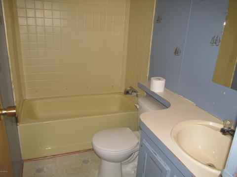 4179 E Shore Dr, Stanton, MI 48888 photo 8