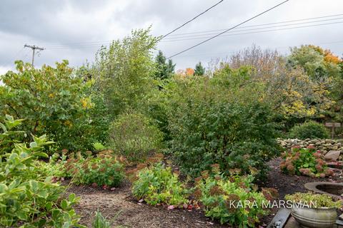 8947 Storey Rd, Belding, MI 48809 photo 47