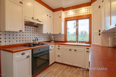 8947 Storey Rd, Belding, MI 48809 photo 8