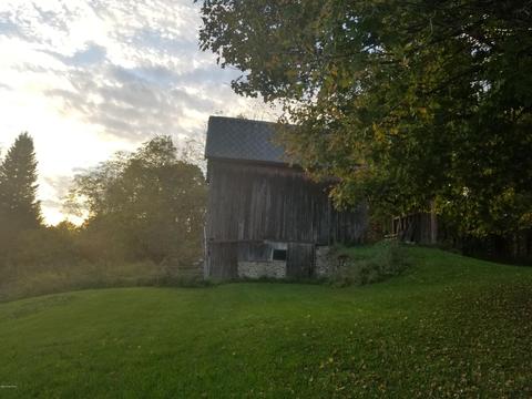 8288 S Gurd Rd, Dowling, MI 49050 photo 21