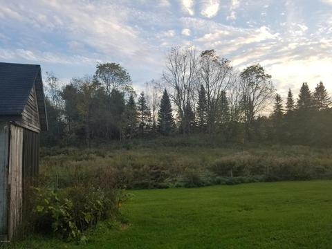 8288 S Gurd Rd, Dowling, MI 49050 photo 23