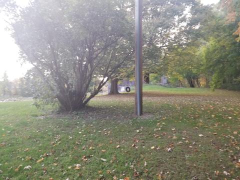 8288 S Gurd Rd, Dowling, MI 49050 photo 15
