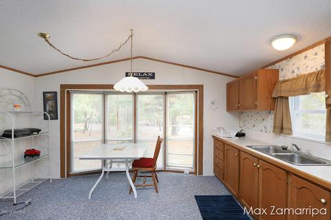 6202 E 29th St, White Cloud, MI 49349 photo 8