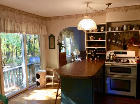 12412 Griffith Rd, Brethren, MI 49619 photo 10