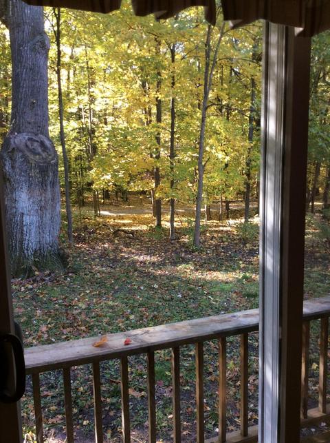 12412 Griffith Rd, Brethren, MI 49619 photo 11