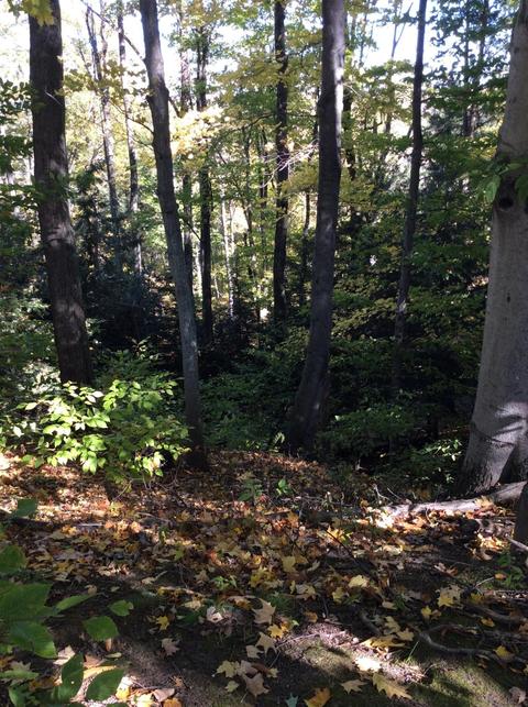 12412 Griffith Rd, Brethren, MI 49619 photo 59