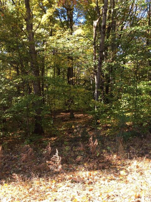 12412 Griffith Rd, Brethren, MI 49619 photo 61