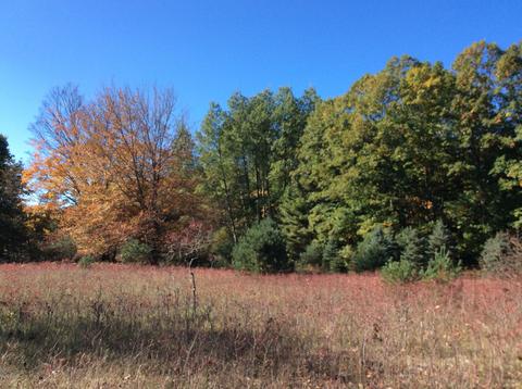 12412 Griffith Rd, Brethren, MI 49619 photo 58