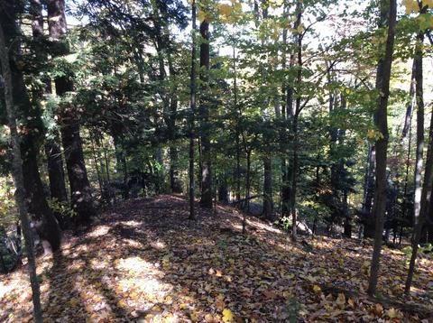 12412 Griffith Rd, Brethren, MI 49619 photo 60