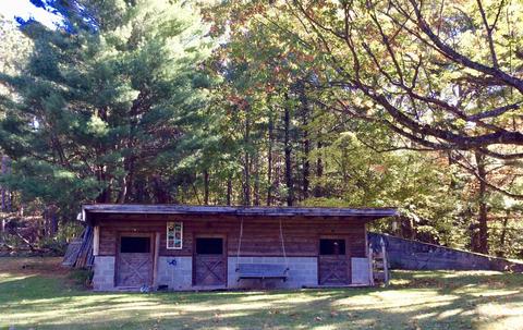 12412 Griffith Rd, Brethren, MI 49619 photo 40