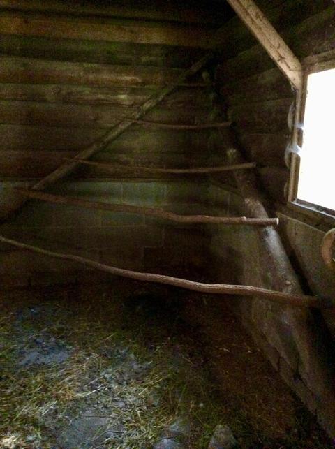 12412 Griffith Rd, Brethren, MI 49619 photo 46