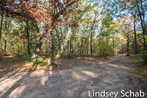 3844 E 96th St, Newaygo, MI 49337 photo 42