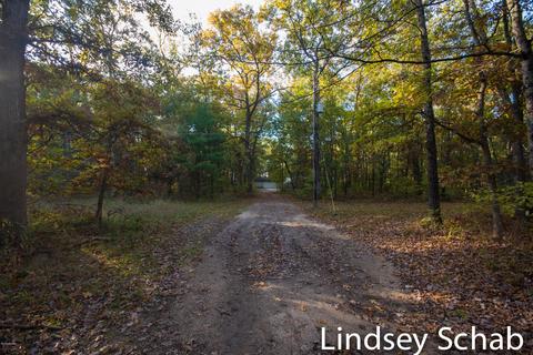 3844 E 96th St, Newaygo, MI 49337 photo 43