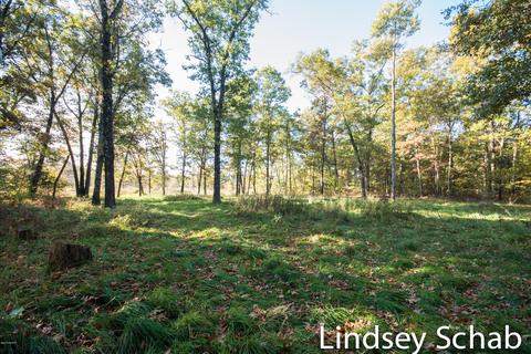 3844 E 96th St, Newaygo, MI 49337 photo 11