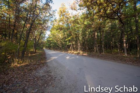 3844 E 96th St, Newaygo, MI 49337 photo 45