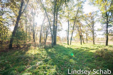3844 E 96th St, Newaygo, MI 49337 photo 12