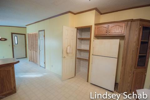 3844 E 96th St, Newaygo, MI 49337 photo 22