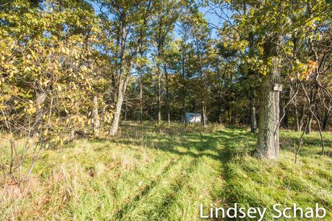 3844 E 96th St, Newaygo, MI 49337 photo 15