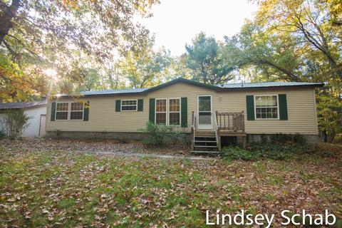 3844 E 96th St, Newaygo, MI 49337 photo 4