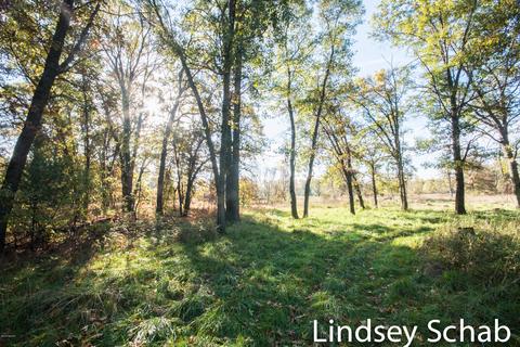 3844 E 96th St, Newaygo, MI 49337 photo 13