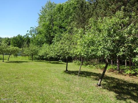 8532 N Warner, Bitely, MI 49309 photo 32
