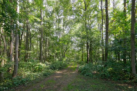 67920 Black Run Way, Constantine, MI 49042 photo 36