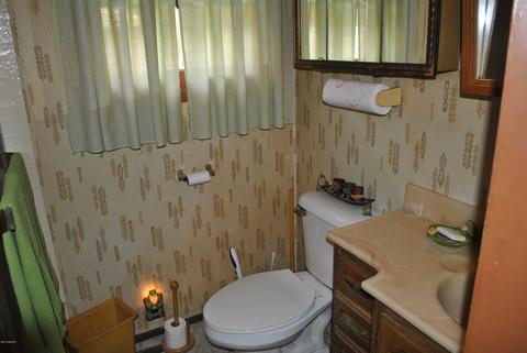 3393 S Elm Ave, White Cloud, MI 49349 photo 9