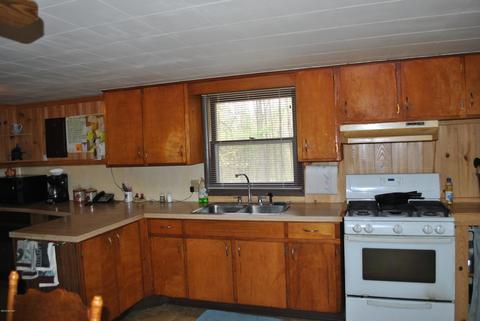 3393 S Elm Ave, White Cloud, MI 49349 photo 6
