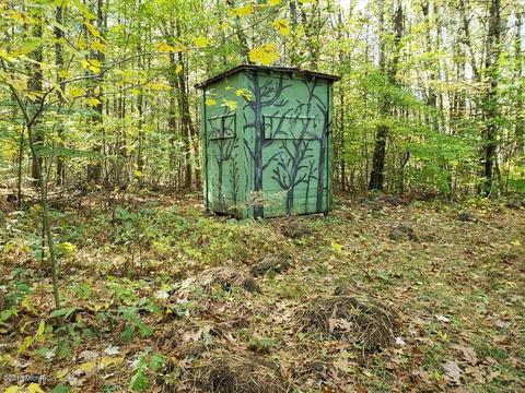 3393 S Elm Ave, White Cloud, MI 49349 photo 15