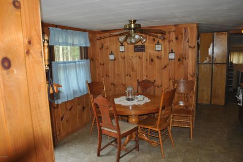 3393 S Elm Ave, White Cloud, MI 49349 photo 5