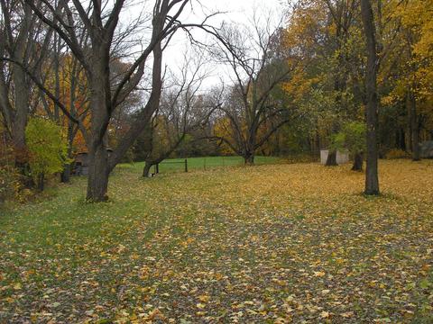 1414 Eighth St, Three Rivers, MI 49093 photo 4