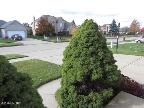 53344 Freda Dr, Macomb, MI 48042 photo 9
