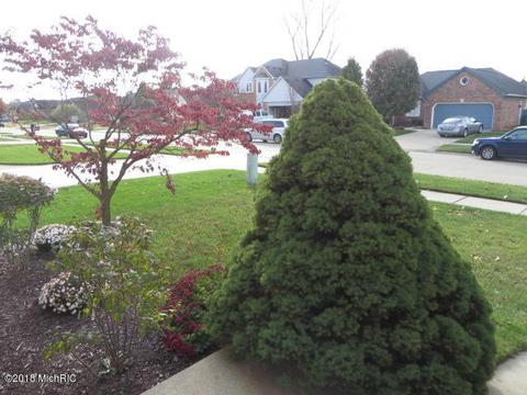 53344 Freda Dr, Macomb, MI 48042 photo 8