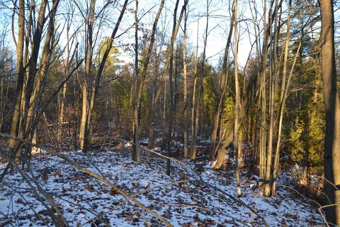 5031 E Loop Rd, Hesperia, MI 49421 photo 8