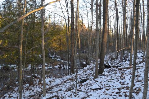 5031 E Loop Rd, Hesperia, MI 49421 photo 9