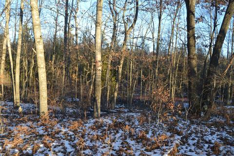 5031 E Loop Rd, Hesperia, MI 49421 photo 7