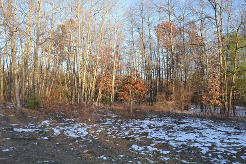 5031 E Loop Rd, Hesperia, MI 49421 photo 6