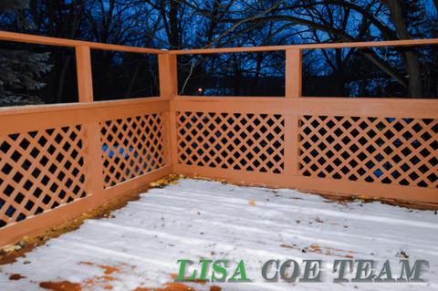 209 E Lytle St, Ionia, MI 48846 photo 5