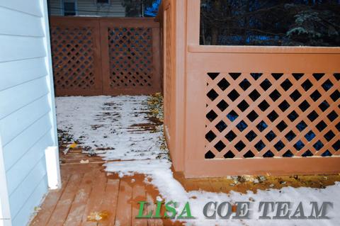 209 E Lytle St, Ionia, MI 48846 photo 6