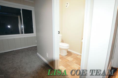 209 E Lytle St, Ionia, MI 48846 photo 12