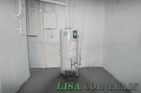 209 E Lytle St, Ionia, MI 48846 photo 14