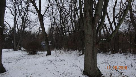 5104 Geiger Ct, Belding, MI 48809 photo 7