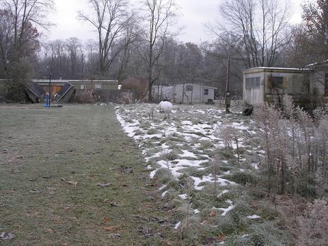 52161 Tonya Dr, Mendon, MI 49072 photo 5