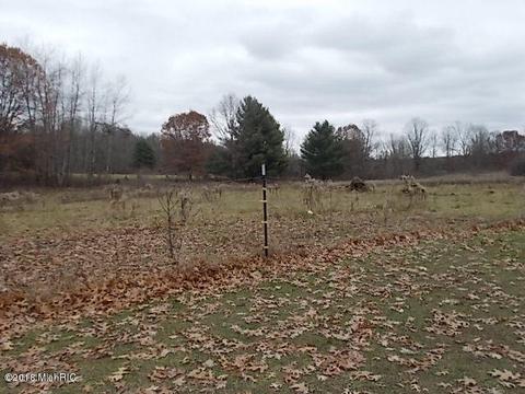 7005 E 88th St, Newaygo, MI 49337 photo 43