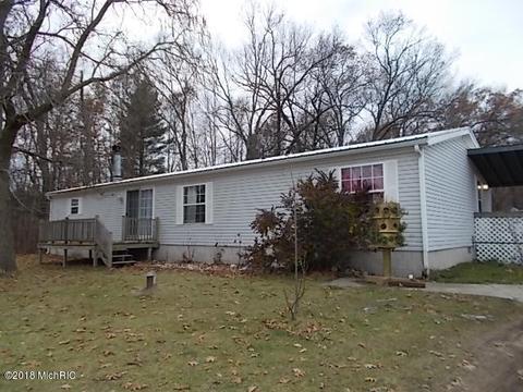 7005 E 88th St, Newaygo, MI 49337 photo 1