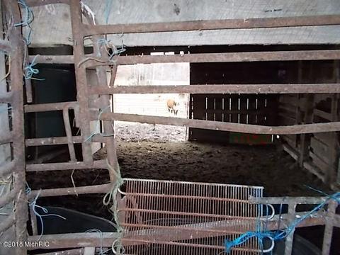 7005 E 88th St, Newaygo, MI 49337 photo 36