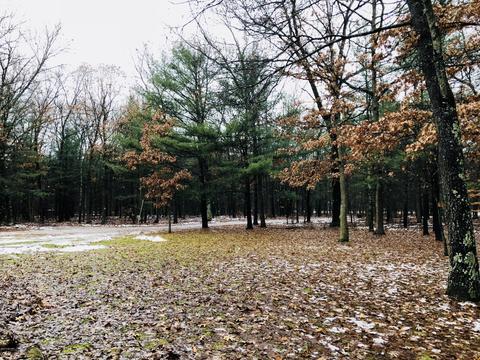 2576 E 82nd, Newaygo, MI 49337 photo 4